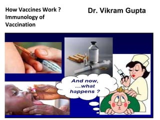 How Vaccines Work ?   Dr. Vikram Gupta
Immunology of
Vaccination
 