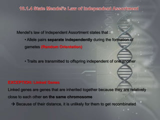 Mendel’s law of Independent Assortment states that :
         • Allele pairs separate independently during the formation of
         gametes (Random Orientation)


         • Traits are transmitted to offspring independent of one another




EXCEPTION: Linked Genes
Linked genes are genes that are inherited together because they are relatively
close to each other on the same chromosome
  Because of their distance, it is unlikely for them to get recombinated
 