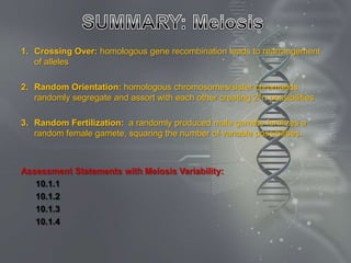 1. Crossing Over: homologous gene recombination leads to rearrangement
   of alleles

2. Random Orientation: homologous chromosomes/sister chromatids
   randomly segregate and assort with each other creating 2^n possibilities

3. Random Fertilization: a randomly produced male gamete fertilizes a
   random female gamete, squaring the number of variable possibilities.



Assessment Statements with Meiosis Variability:
   10.1.1
   10.1.2
   10.1.3
   10.1.4
 