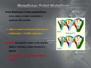 Point Mutations or base-substitutions
   occur when a single nucleotide is
   replaced with another



 Often a result of chemical damage or
   malfunction in DNA replication



Result?: the specific codon in the specific
   allele is misread, protein structure is
   altered

    In another words that protein is
   defunct
 