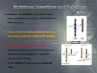 In insertions and deletions occur when one or
   more nucleotides are added or deleted from the
   DNA sequence.



 Usually caused by transposable elements or
   errors during replication (such as AT repeats)



More significant than point mutations

   this is because the entire DNA sequence is
   shifted/moved and all genes in that DNA
   sequence are misread

   ALL GENES in that sequence cannot be
   read
 