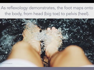 As reflexology demonstrates, the foot maps onto
the body, from head (big toe) to pelvis (heel).
Photo from freeimages.red
 