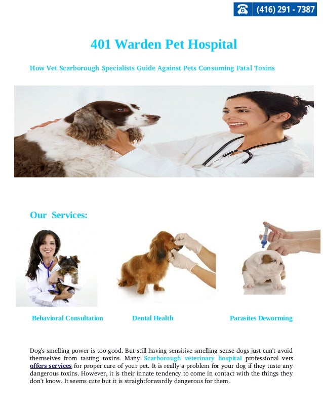 vet allergy specialist
