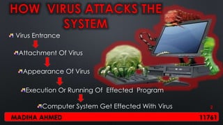 How virus affects computer Slide 2