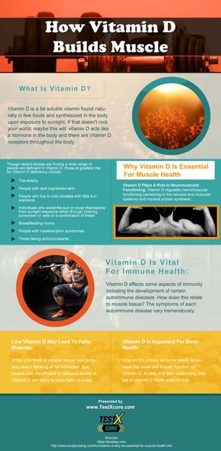 How Vitamin D Builds Muscle