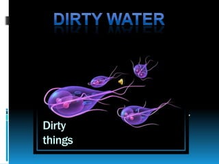 D i r t y w a t e r
Dirty
things
 