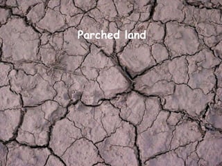 Parched land 