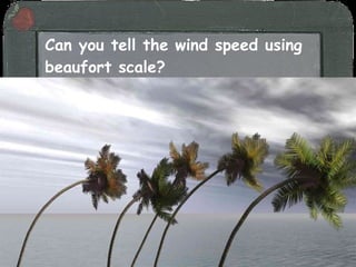 Can you tell the wind speed using beaufort scale? 