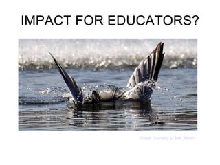 IMPACT FOR EDUCATORS? Image courtesy of law_keven 