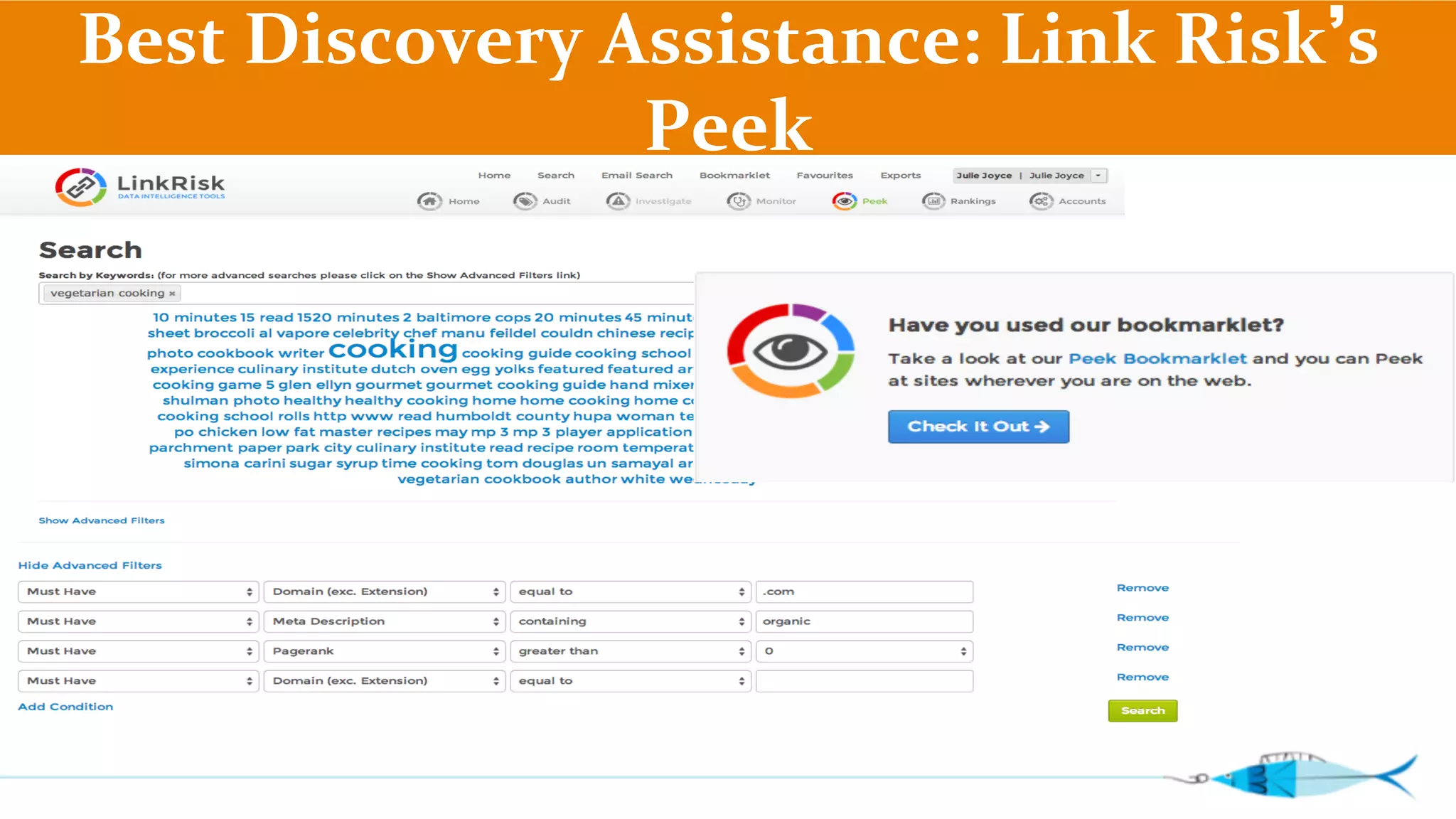 Best 
Discovery 
Assistance: 
Link 
Risk’s 
Peek 
 