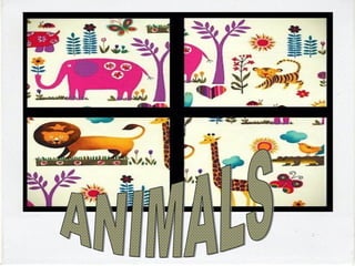 How we classify animals-speaking exercise