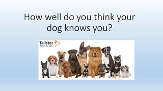 How well do you think your 
dog knows you? 
 