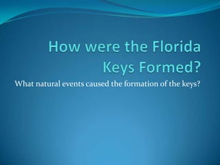 How were the Florida Keys Formed? What natural events caused the formation of the keys? 