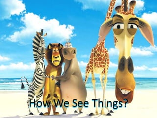 How We See Things?
 