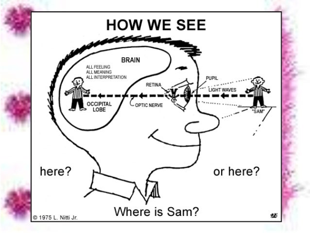 how does a see how we see things how does a see how we see things