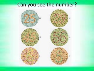 Can you see the number?
 