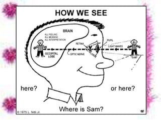 How we see things