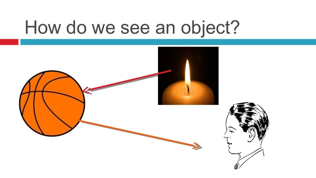 How we see things (grade 5)