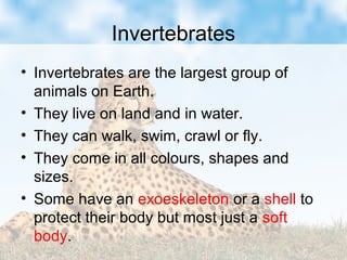 Invertebrates
• Invertebrates are the largest group of
animals on Earth.
• They live on land and in water.
• They can walk, swim, crawl or fly.
• They come in all colours, shapes and
sizes.
• Some have an exoeskeleton or a shell to
protect their body but most just a soft
body.
 