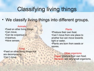 Classifying living things
• We classify living things into different groups.
Animals
•Feed on other living things.
•Can move.
•Can be oviparous or
viviparous.
•Have senses.
Plants
•Produce their own food.
•Can´t move from one place to
another but can move towards
light or water.
•Plants are born from seeds or
spores.
Fungi
•Feed on other living things that
are decomposing.
•Can´t move.
Other organisms
•Algae: produce their own food.
•Bacteria: are very small organisms.
 