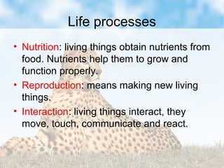 Life processes
• Nutrition: living things obtain nutrients from
food. Nutrients help them to grow and
function properly.
• Reproduction: means making new living
things.
• Interaction: living things interact, they
move, touch, communicate and react.
 