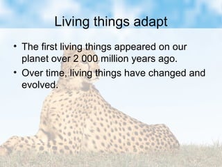 Living things adapt
• The first living things appeared on our
planet over 2 000 million years ago.
• Over time, living things have changed and
evolved.
 