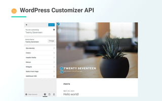 WordPress Customizer API
 