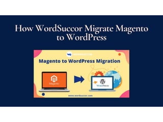 How WordSuccor Migrate Magento to WordPress