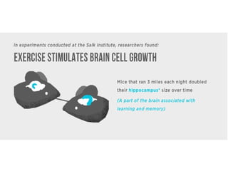 How Working Out Make You Smarter PPT