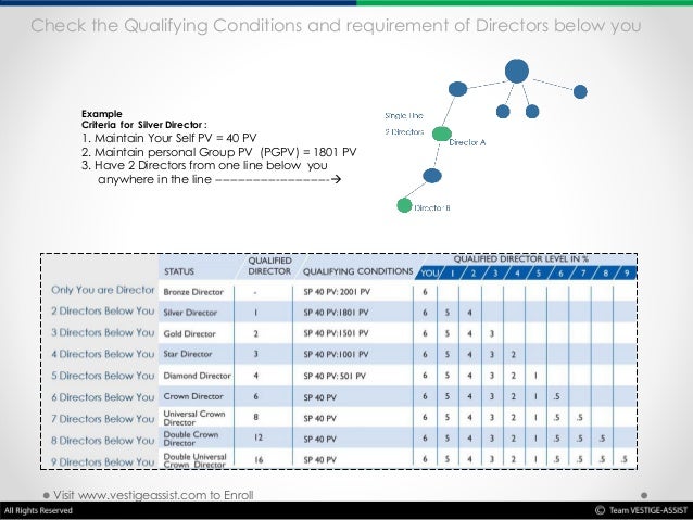 Vestige products review picture