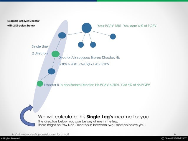 Vestige presentation ppt 2020 image