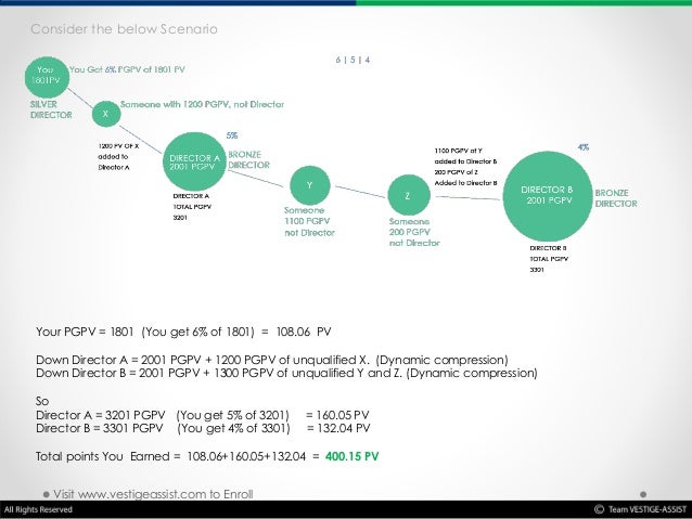 Vestige starter kit pdf picture