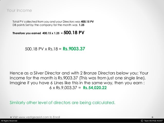 Vestige company picture