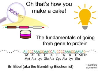 Oh that’s how you
make a cake!
The fundamentals of going
from gene to protein
Bri Bibel (aka the Bumbling Biochemist)
 