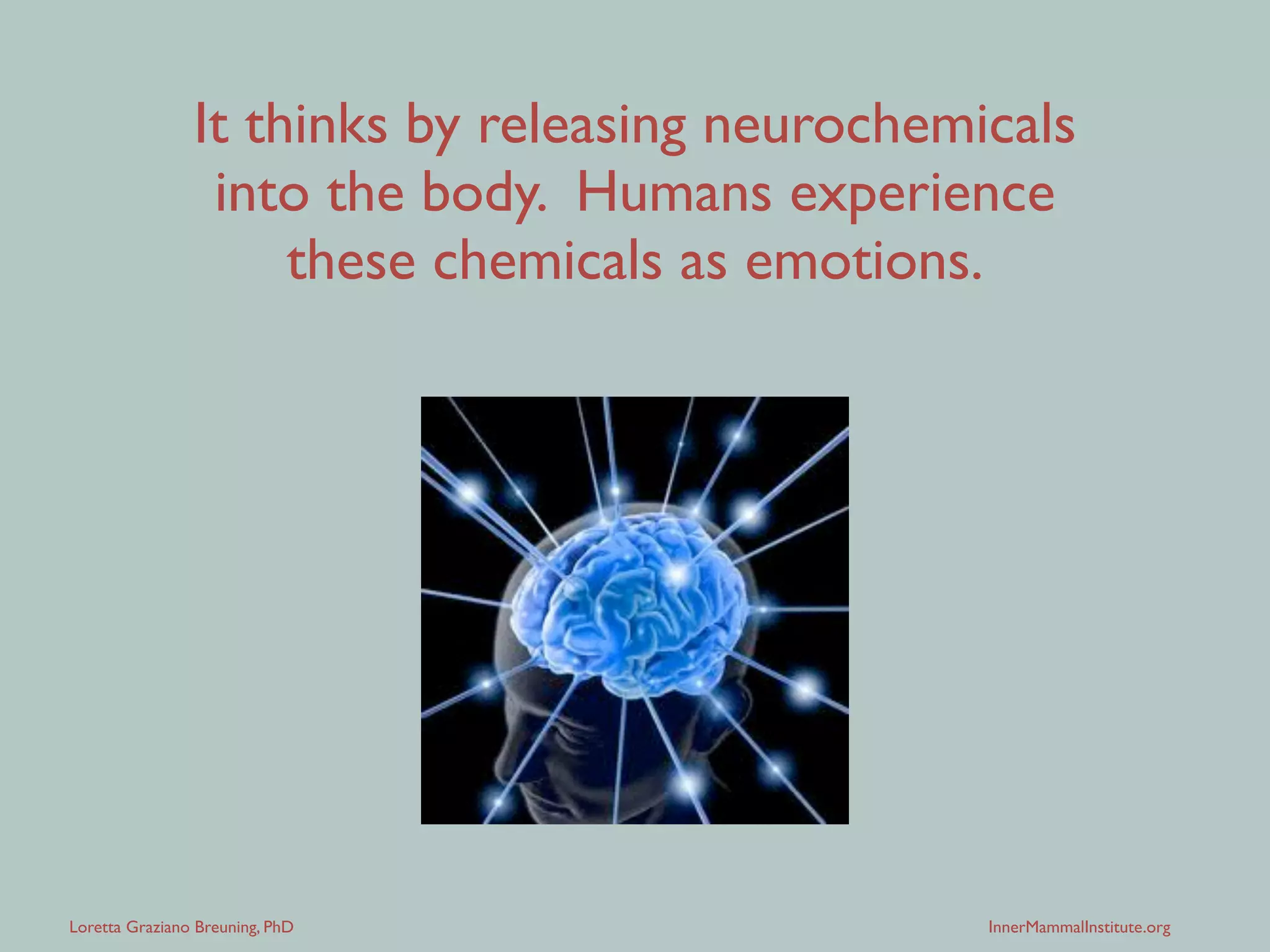 Loretta Graziano Breuning, PhD InnerMammalInstitute.org
It thinks by releasing neurochemicals
into the body. Humans experience
these chemicals as emotions.
 