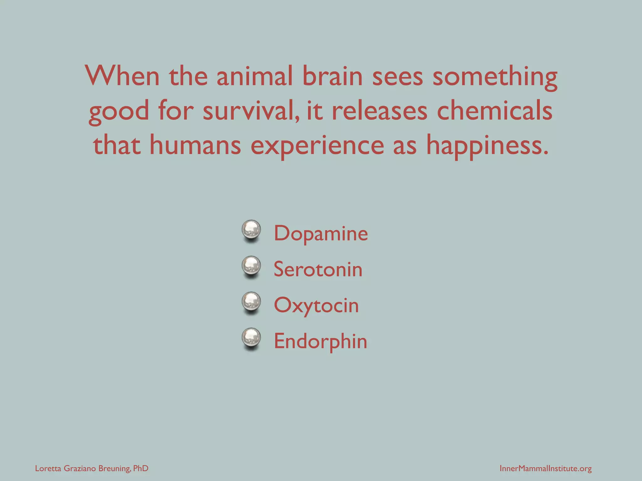 Loretta Graziano Breuning, PhD InnerMammalInstitute.org
When the animal brain sees something
good for survival, it releases chemicals
that humans experience as happiness.
Dopamine 	

Serotonin	

Oxytocin	

Endorphin
 