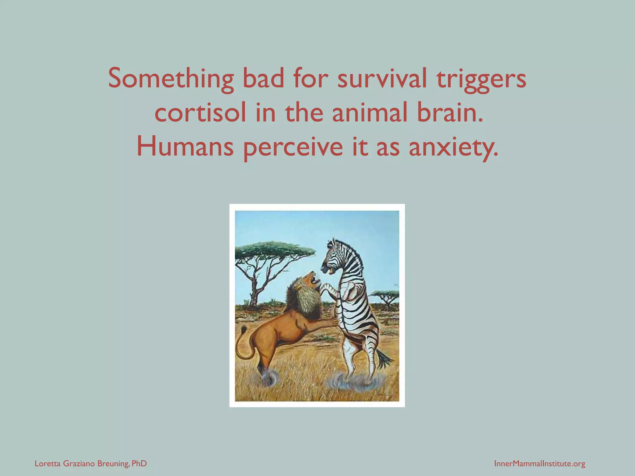 Loretta Graziano Breuning, PhD InnerMammalInstitute.org
Something bad for survival triggers
cortisol in the animal brain. 	

Humans perceive it as anxiety.
 