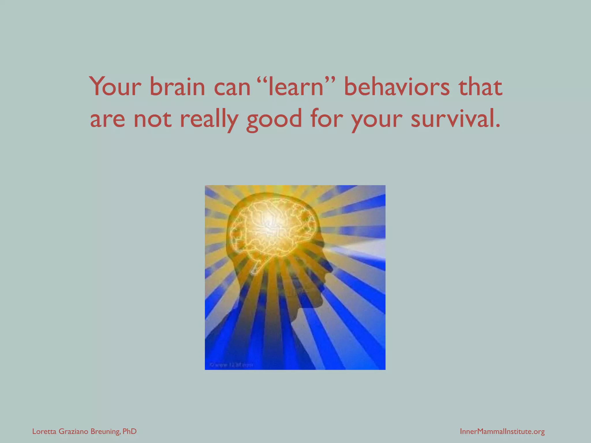 Loretta Graziano Breuning, PhD InnerMammalInstitute.org
Your brain can “learn” behaviors that
are not really good for your survival.
 
