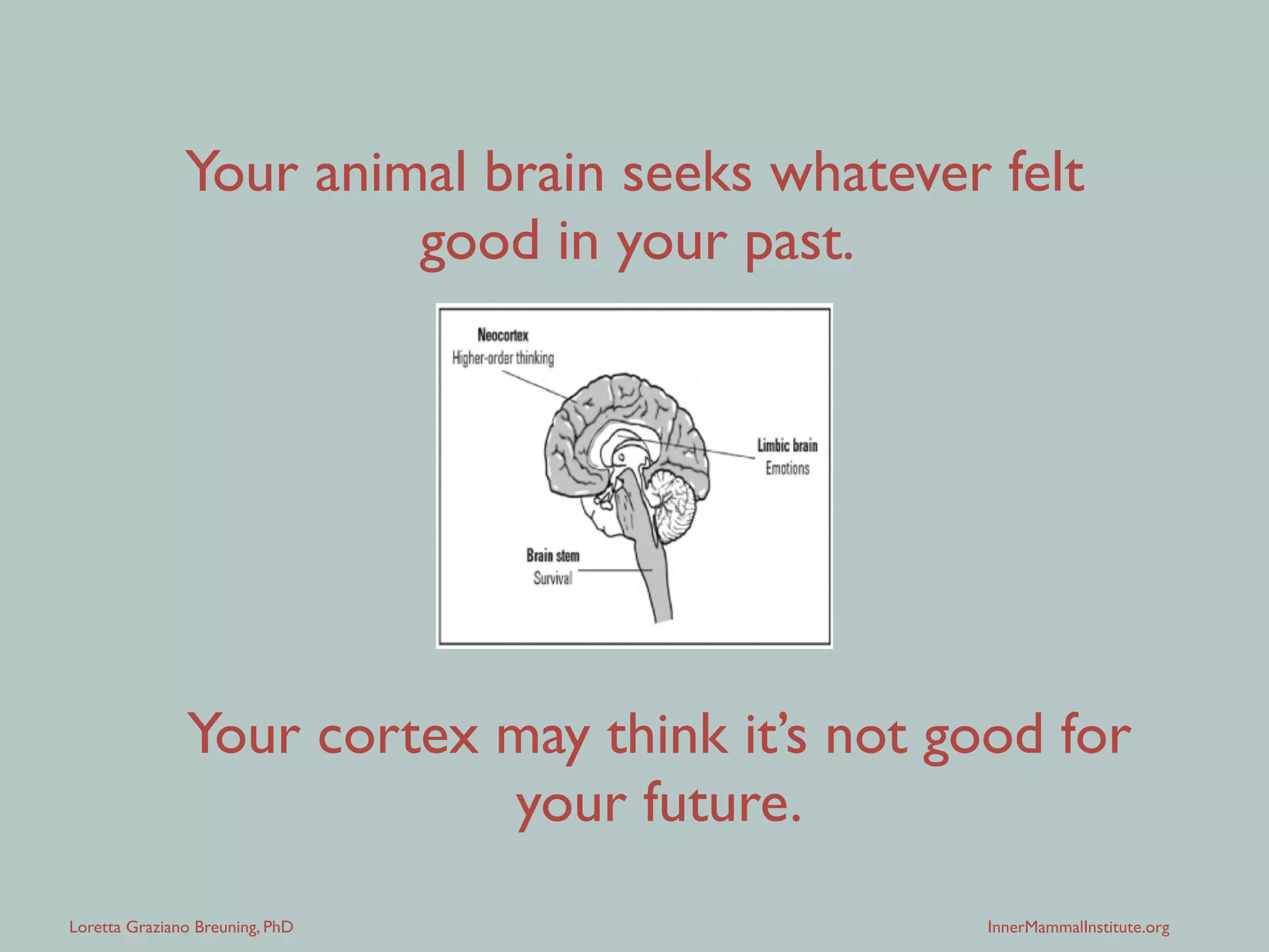 Loretta Graziano Breuning, PhD InnerMammalInstitute.org
Your animal brain seeks
whatever felt good in
your past, and avoids
whatever felt bad.
Your human cortex
seeks patterns that lead
to better feelings in your
future.
 