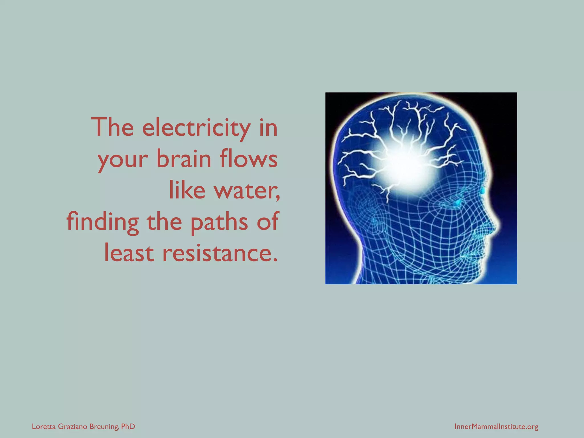 Loretta Graziano Breuning, PhD InnerMammalInstitute.org
It’s not easy managing three brains.
 