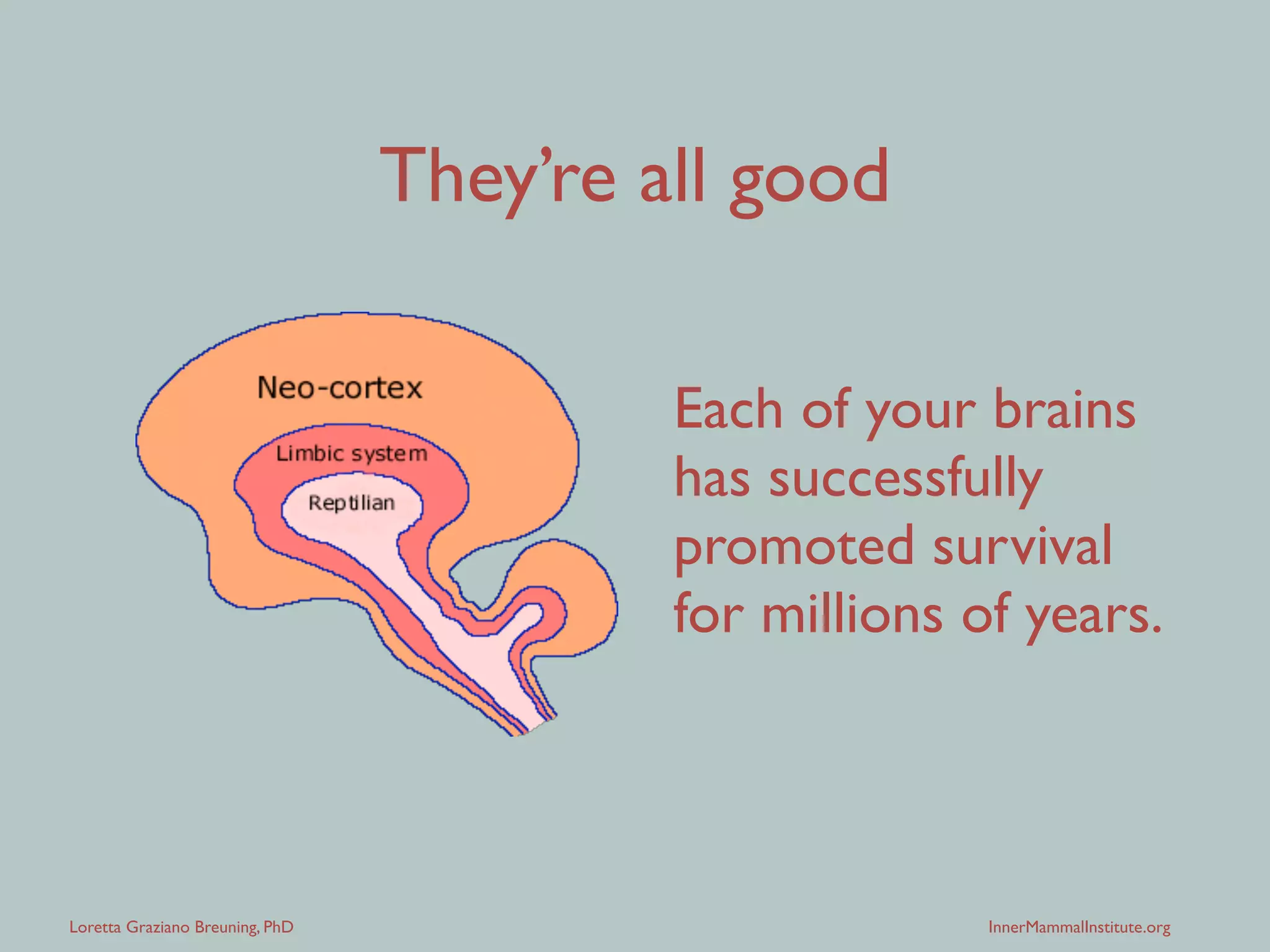 Loretta Graziano Breuning, PhD InnerMammalInstitute.org
They’re all good
Each of your brains
has successfully
promoted survival
for millions of years.
 