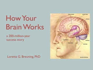 HowYour
Brain Works
Loretta G. Breuning, PhD
a 200-million-year 
success story
 