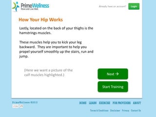 How Your Hip Works
Lastly, located on the back of your thighs is the
hamstrings muscles.

These muscles help you to kick your leg
backward. They are important to help you
propel yourself smoothly up the stairs, run and
jump.


   (Here we want a picture of the
   calf muscles highlighted.)                         Next 


                                                    Start Training
 