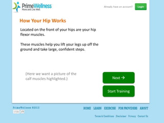 How Your Hip Works