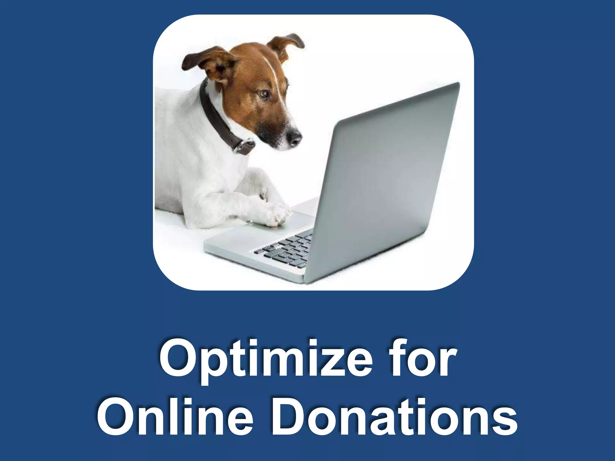 Optimize for
Online Donations

 