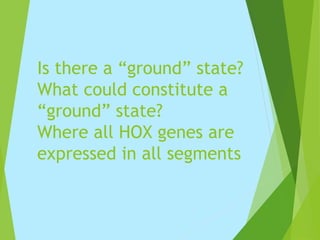 Is there a “ground” state?
What could constitute a
“ground” state?
Where all HOX genes are
expressed in all segments
 