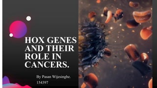 HOX GENES
AND THEIR
ROLE IN
CANCERS.
By Pasan Wijesinghe.
154397
 