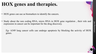 Hox genes and their role in cancers. | PDF