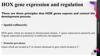 Hox genes and their role in cancers. | PDF