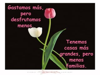 Tenemos casas más grandes, pero menos familias. Gastamos más, pero desfrutamos menos. 
